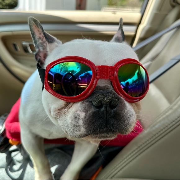 Meet your Posher, Barb - Picture 4 of 4